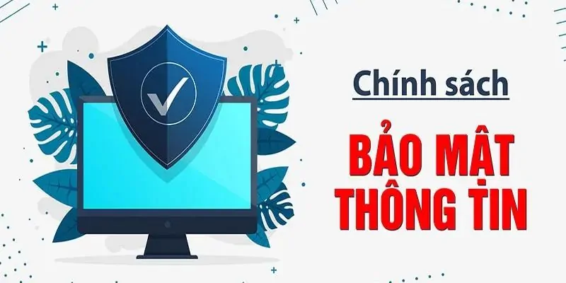 chính sách bảo mật Vua99